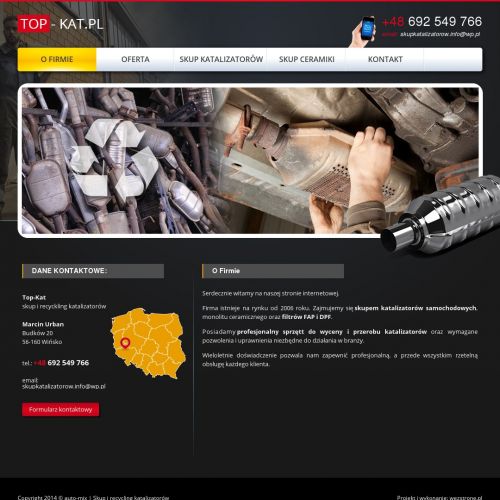 Skup ceramiki katalizatorów online w Łodzi