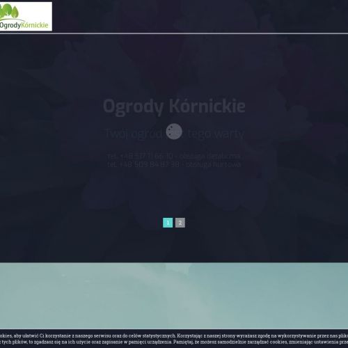 Krzewy iglaste szkółka - Poznań