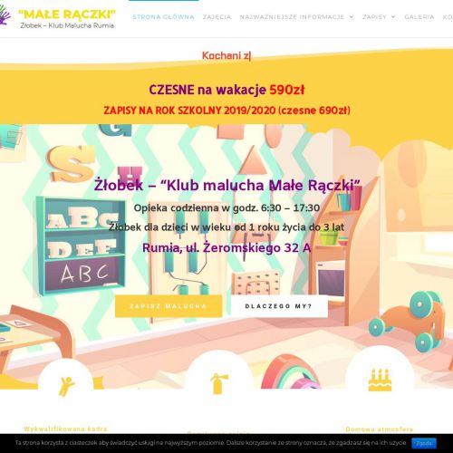 Kameralny żłobek Rumia