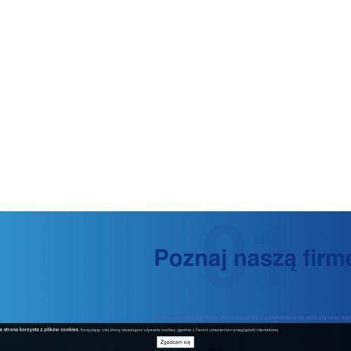 Katowice - volkswagen california wynajem