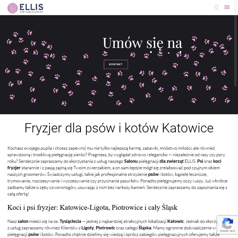 Fryzjer dla psów siemianowice - Bytom