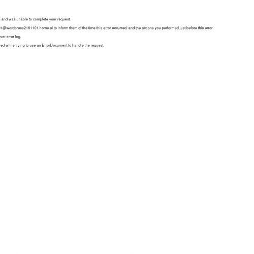 Kraków - naprawa kominów