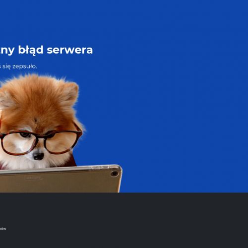 Uprawnienia na wózki widłowe w Dzierżoniowie