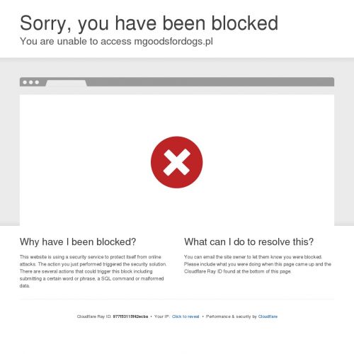 Linka treningowa dla psa gumowa