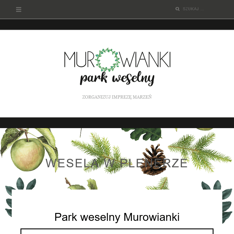 Turek - sala weselna łódzkie