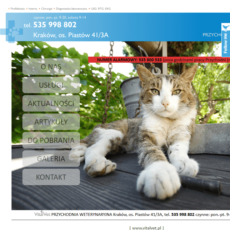 Całodobowa klinika weterynaryjna Kraków